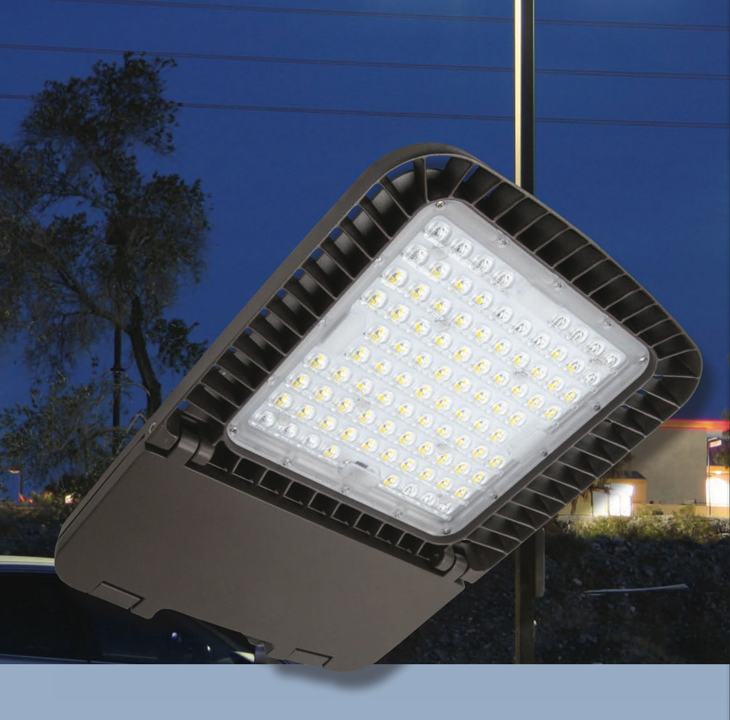 LED Area Light