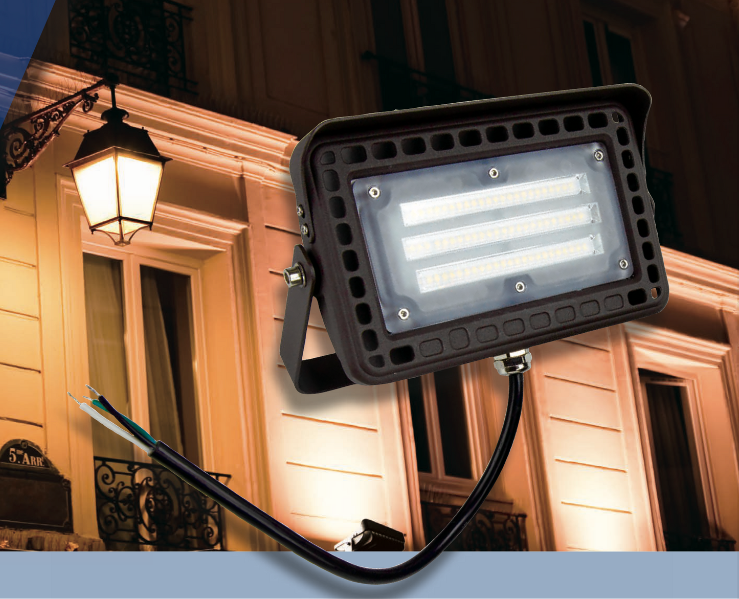 LED Flood Light